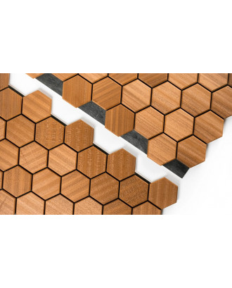 Pannelli decorativi in legno Hexa S Thermo, Abachi LEGNO PER SAUNA