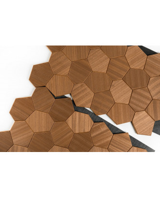 Pannelli decorativi in legno Royal Thermo, Abachi LEGNO PER SAUNA